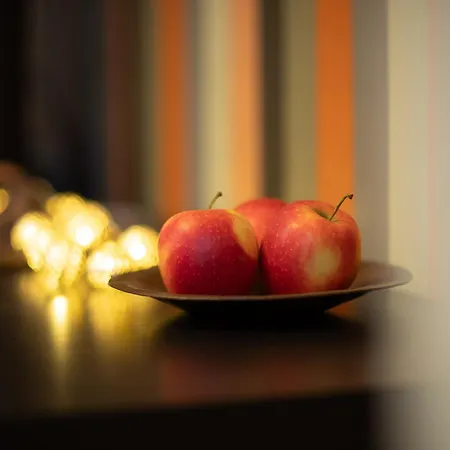 Viktoria - Castle View - Free Parking * Bratislava